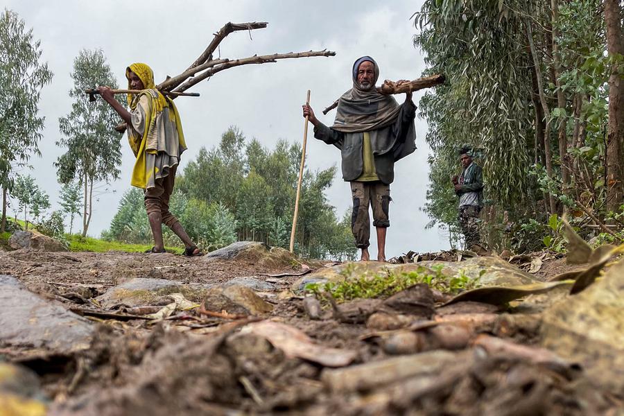 Vaginadagi katta jinsiy olatni surati