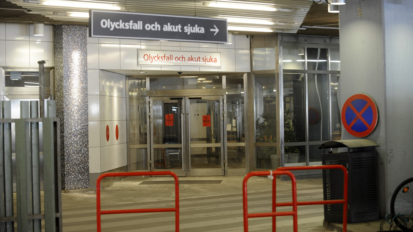 Bortib chiqqan mushuk bilan jinsiy aloqani tomosha qiling