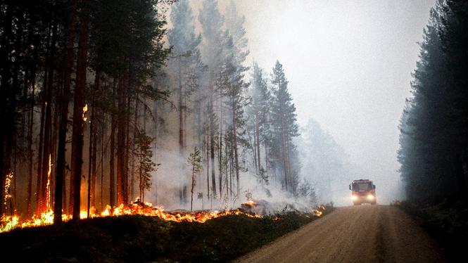 Den varma sommaren 2018 var extrem, då det uppstod ett 50-tal större bränder runtom i Sverige till följd av en långvarig torka. När klimatet blir varmare i Sverige väntas också skogsbränderna öka.