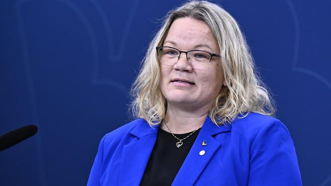 Liberalernas ekonomisk-politiska talesperson Cecilia Rönn.