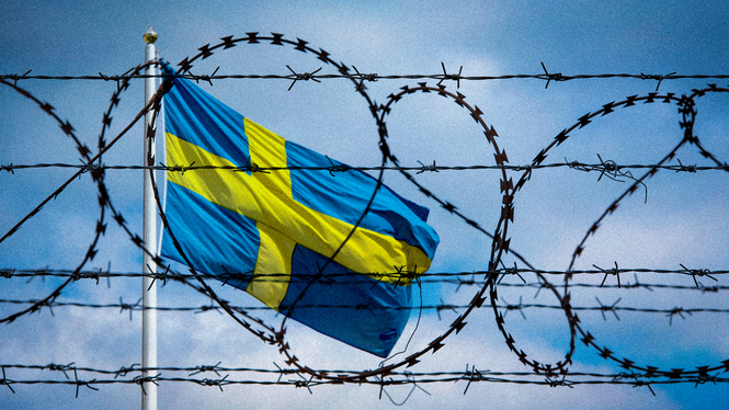 Rojin Pertow har en lösning på befolkningsfrågan. Den är dessutom enkel.