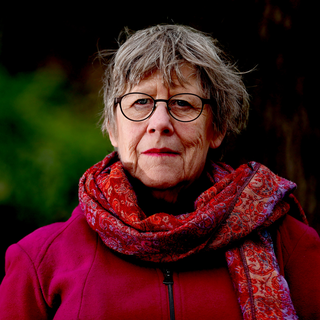 Agnes Wold är professor i klinisk bakteriologi, författare och debattör.