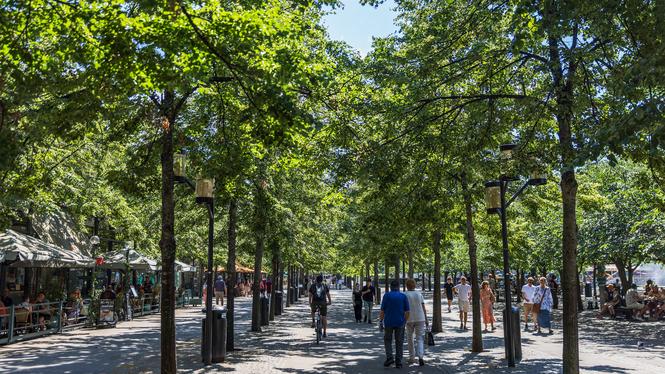 Kungsträdgården i Stockholm.