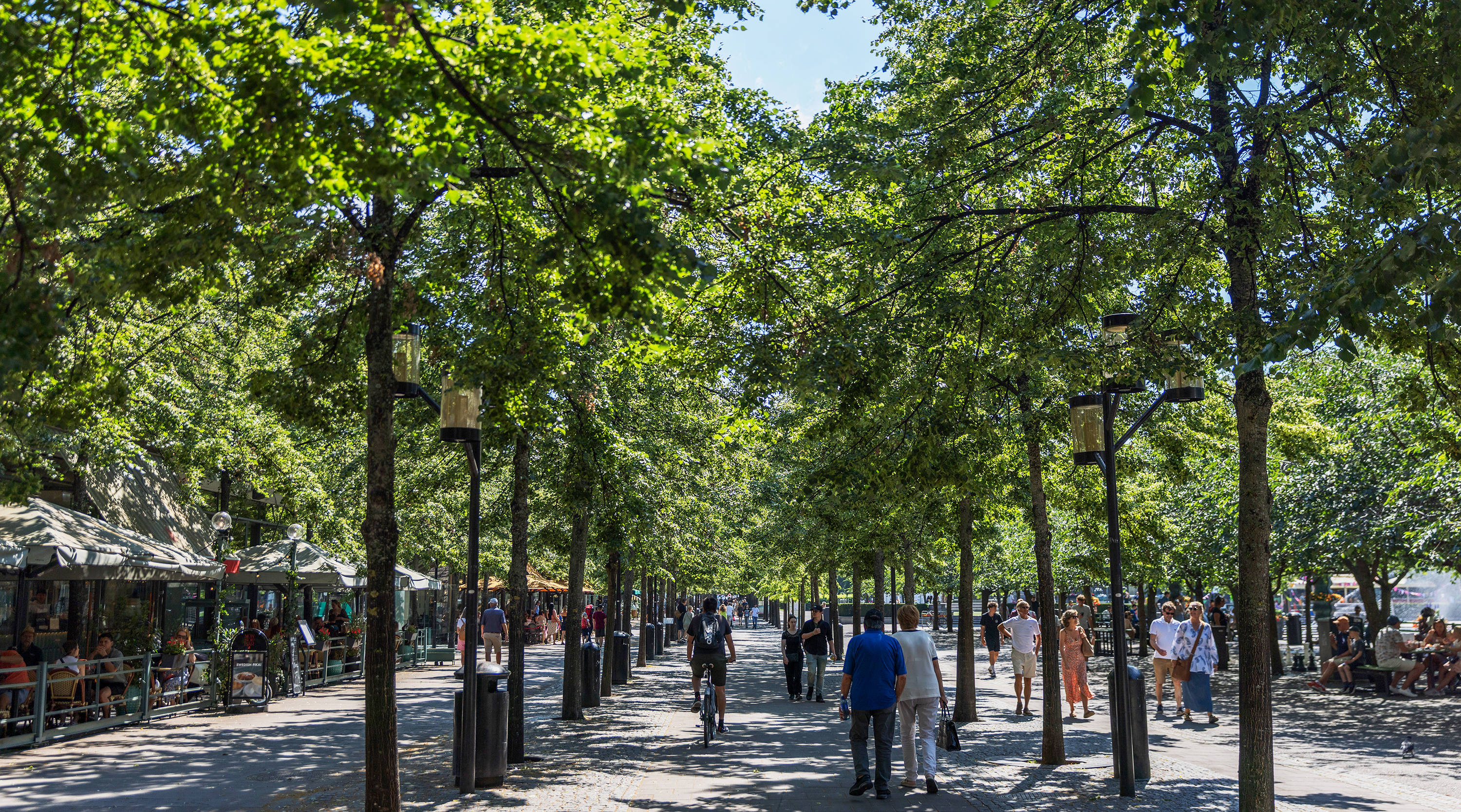 Kungsträdgården i Stockholm.