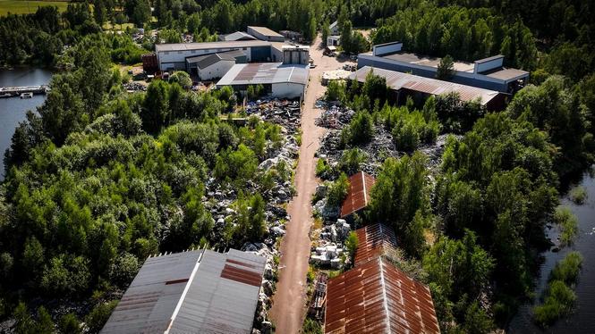 Avfallet har legat och skräpat så länge att björkar växer ur sophögarna.