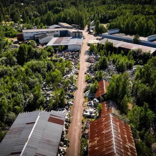 Avfallet har legat och skräpat så länge att björkar växer ur sophögarna.