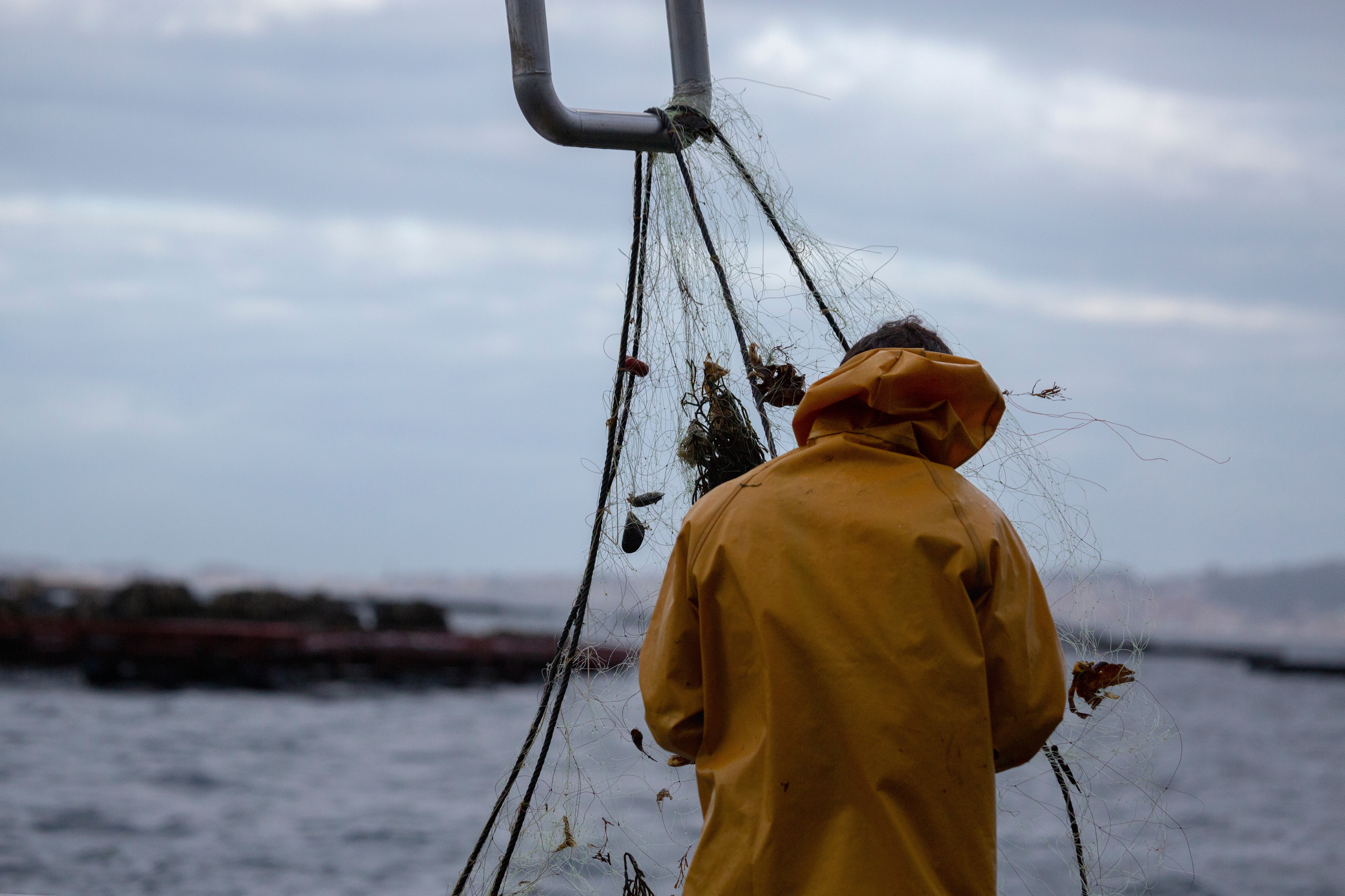 Fiskare i Ría de Arousa, Galicia.