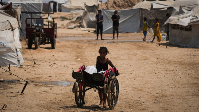 En palestinsk flicka skjuter en vagn lastad med vattendunkar som hon samlat ihop i ett läger för fördrivna människor i Khan Younis, Gazaremsan, onsdag 13 augusti 2025.