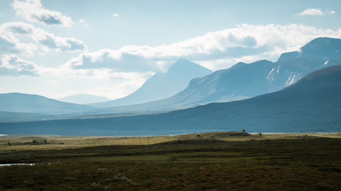 I rapporten Befria Sápmi föreslår författaren Adam Danieli bland annat att den statliga marken i Sápmi privatiseras och överförs till samebyarna.