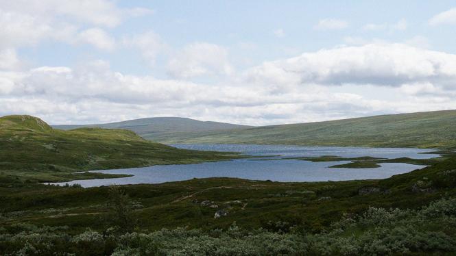 Fjällandskapet har blivit grönare och fjällsjöarna allt mer näringsfattiga de senaste 30 åren.