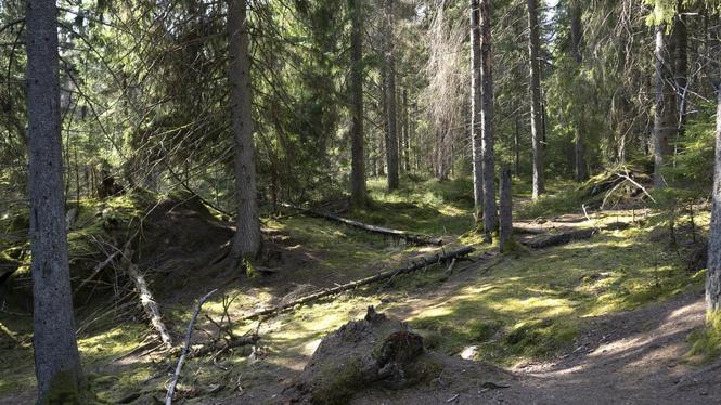 Hundratals forskare från länder runtom i Europa uppmanar EU att ställa hållbarhetskrav på företag – både fär planetens och företagens bästa.