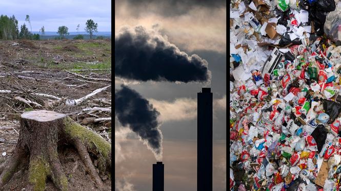 På lördag 27 september avslöjar miljöorganisationen Jordens vänner vem som vinner Svenska greenwashingpriset 2025. Bild: TT (montage)