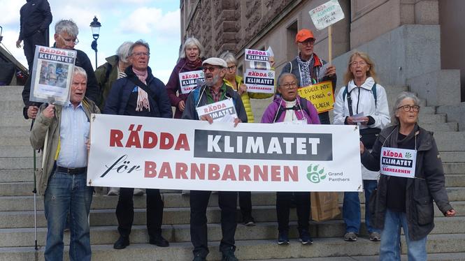 Under parollen "Rädda klimatet för barnbarnen" demonstrerar nätverket Grand panthers för klimatet.