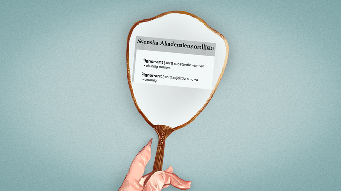 Joanna Górecka ser ständigt hur folk använder ordet ignorant på fel sätt. Detta måste upphöra.