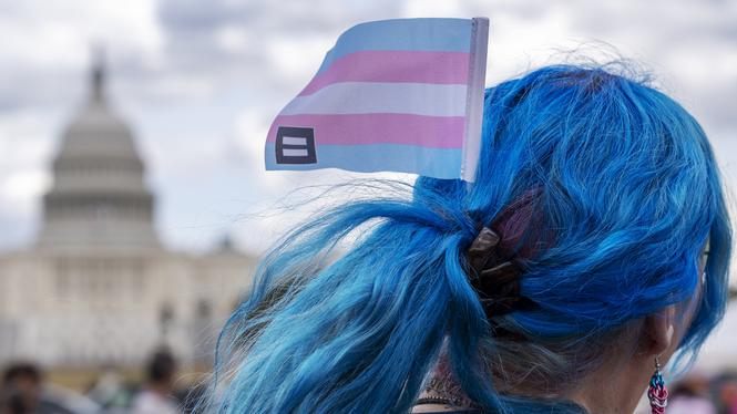 Demonstrant framför Kapitolium i Washington, USA, under en manifestation på Trans day of visibility den 31 mars 2025.