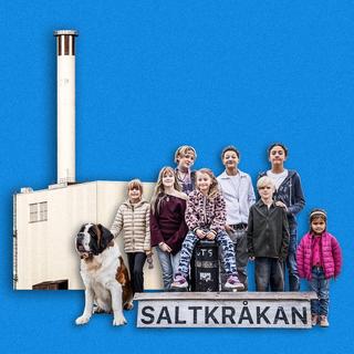 Saltkråkan gänget framför Forsmark 2.
