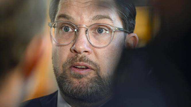 Partiledare Jimmie Åkesson (SD) kräver folkomröstning om grundlagsändringar.