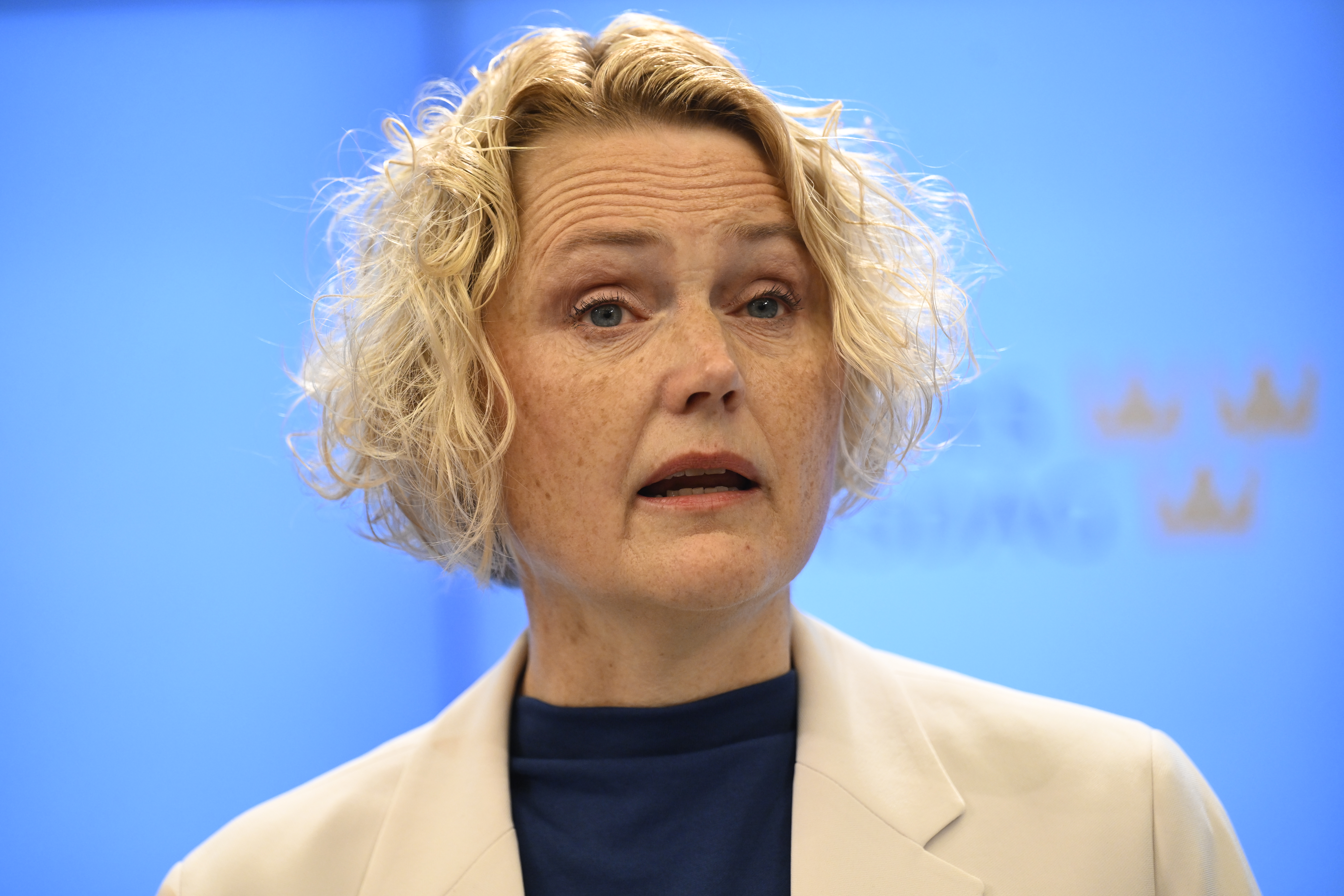 Centerpartiets partiledare Anna-Karin Hatt meddelade under en pressträff att hon avgår.