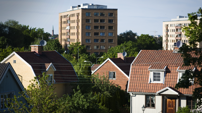 – Det svenska systemet är inte neutralt utan det är mer fördelaktigt att ha kapitalinkomster i Sverige jämfört med arbetsinkomster, säger Jesper Roine, professor i nationalekonomi vid Handelshögskolan i Stockholm.