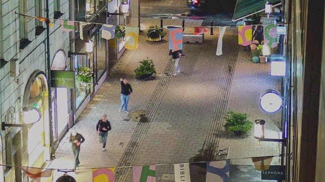 De fyra Aktivklubb-medlemmarna som misshandlade och stal under en natt i Stockholm dömdes i veckan till fängelse.