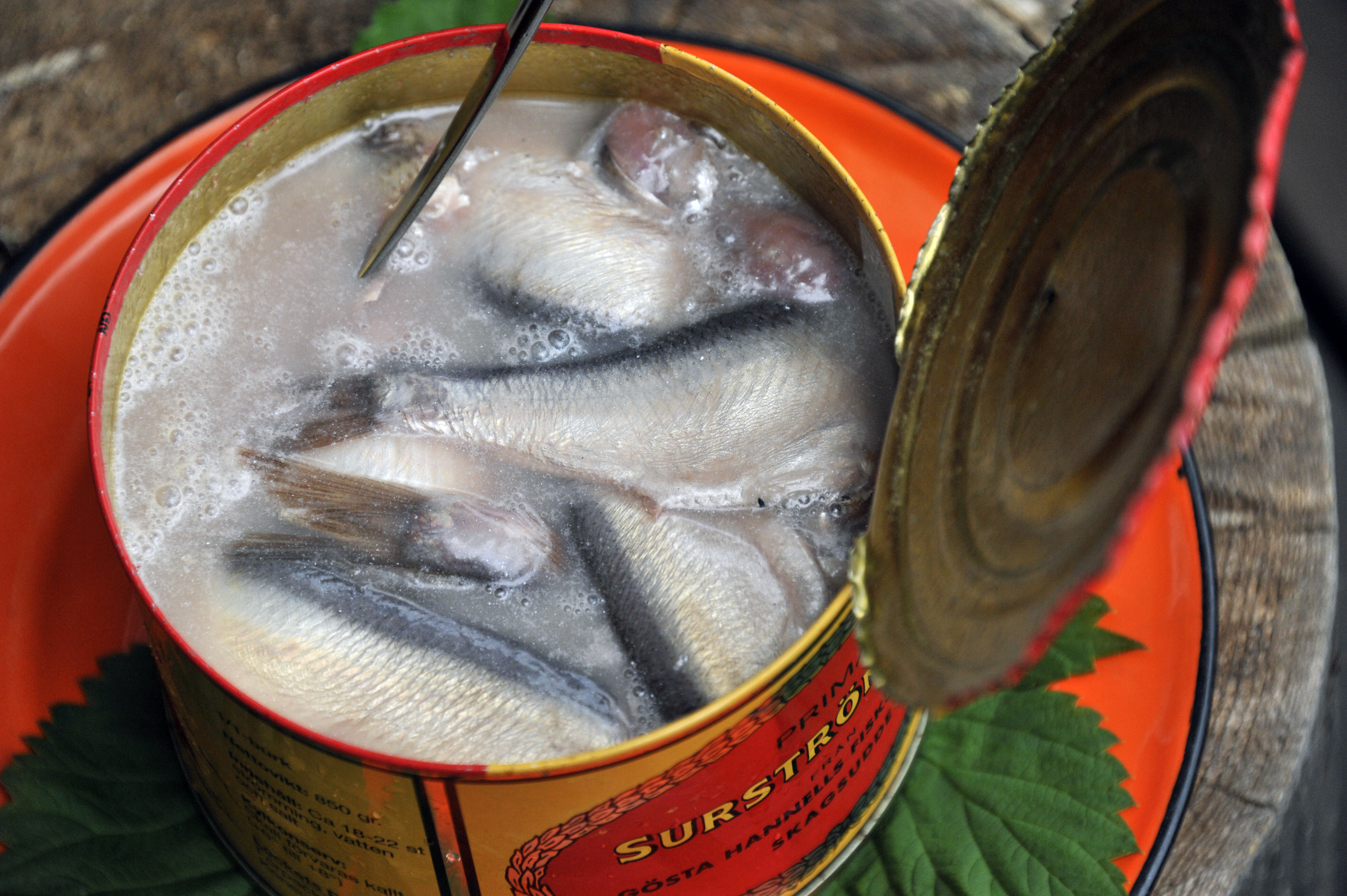 Ica ratar surströmming tillredd på strömming från det mer skonsamma småskaliga fisket i Bottniska viken. Men trålfiskad strömming går bra, så länge den är MSC-certifierad.