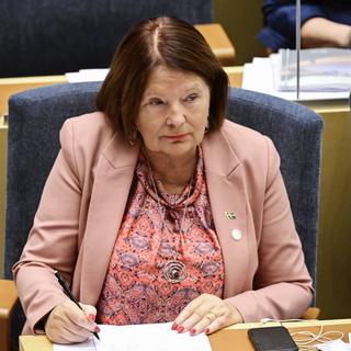 Lotta Johnsson Fornarve (V), biståndspolitisk talesperson. 