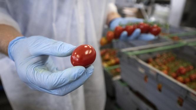 När Tidöregeringen presenterade sin livsmedelspolitik fick Jordbruksverket i uppdrag att ta fram mål för en ökad produktion.