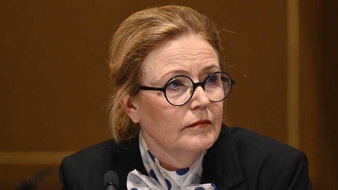 Elisabeth Thand Ringqvist (C) sitter i flera bolagsstyrelsen samtidigt som hon sitter i näringsutskottet och är Centerpartiets näringspolitiska talesperson.