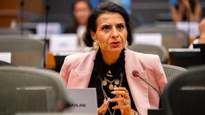 Europaparlamentarikern Abir Al-Sahlani (C).