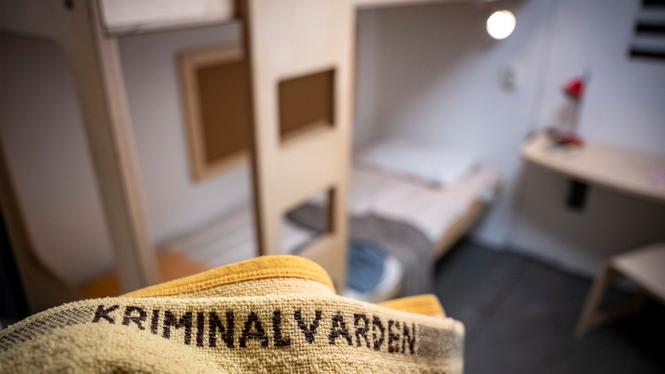 Vad vill regeringen egentligen med Sveriges barn? undrar organisationen Verdandi.