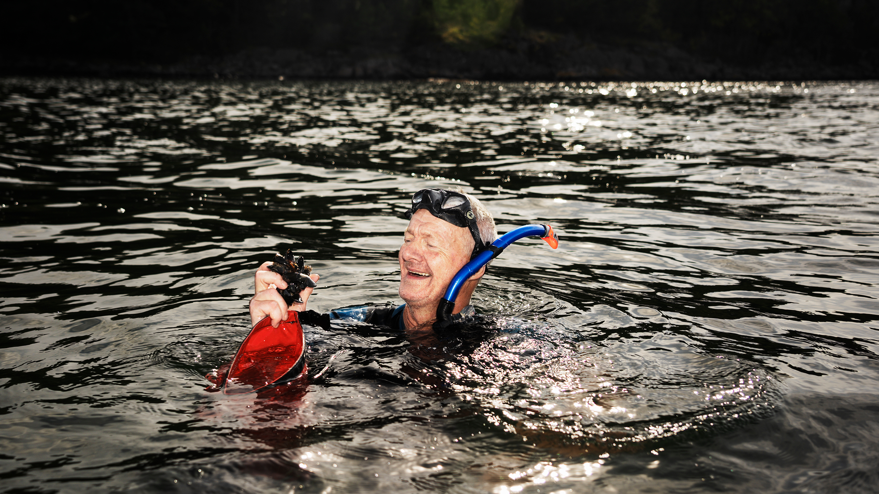Niklas Wennberg odlar musslor tillsammans med 50 andra familjer på Tjörn. Deras marina kolonilott ger dem god mat, närkontakt med havets mångfald och trevlig samvaro.