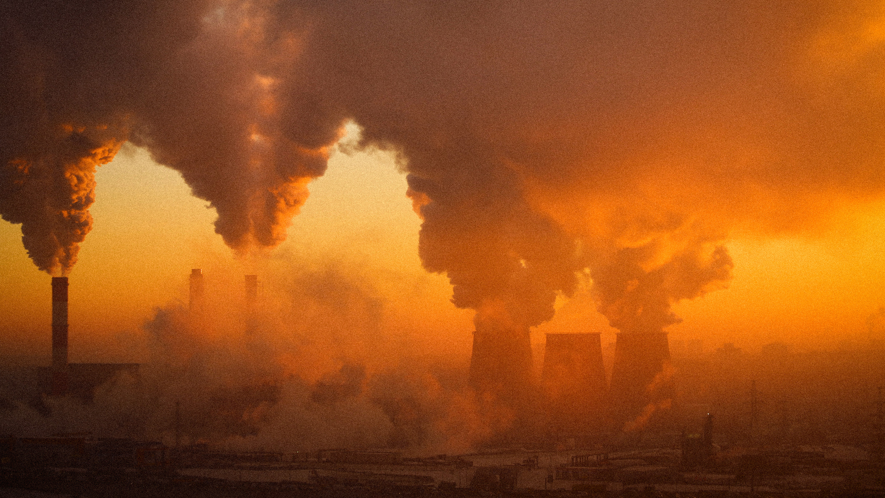 Självklart är ungdomar inte passiva inför att deras liv hotas, skriver Johan Jenny Ehrenberg.