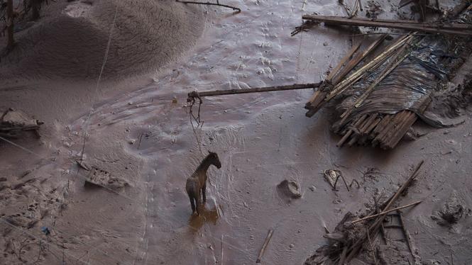 Byn Bento Rodrigues begravd i giftig lera efter en dammkollaps vid en gruva i den brasilianska delstaten Minas Gerais i november 2015. 19 personer omkom i översvämningen.