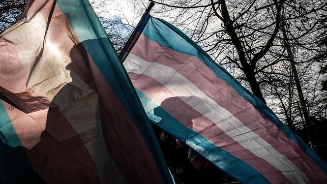 Den 20 november infaller Transgender day of remembrance, en årlig minnesdag för transpersoner som mördats på grund av transfobi under det gångna året.