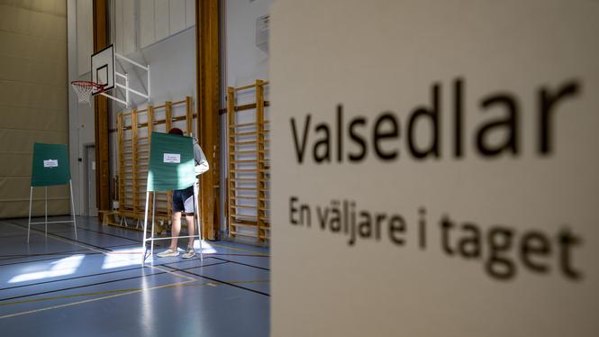 I vissa valdistrikt väljer de flesta att inte nyttja sin rösträtt. Nu har en grupp forskare undersökt varför.