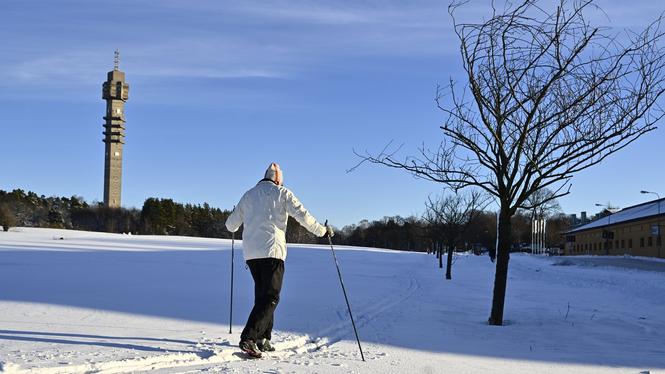 Skidor eller studentbostäder?