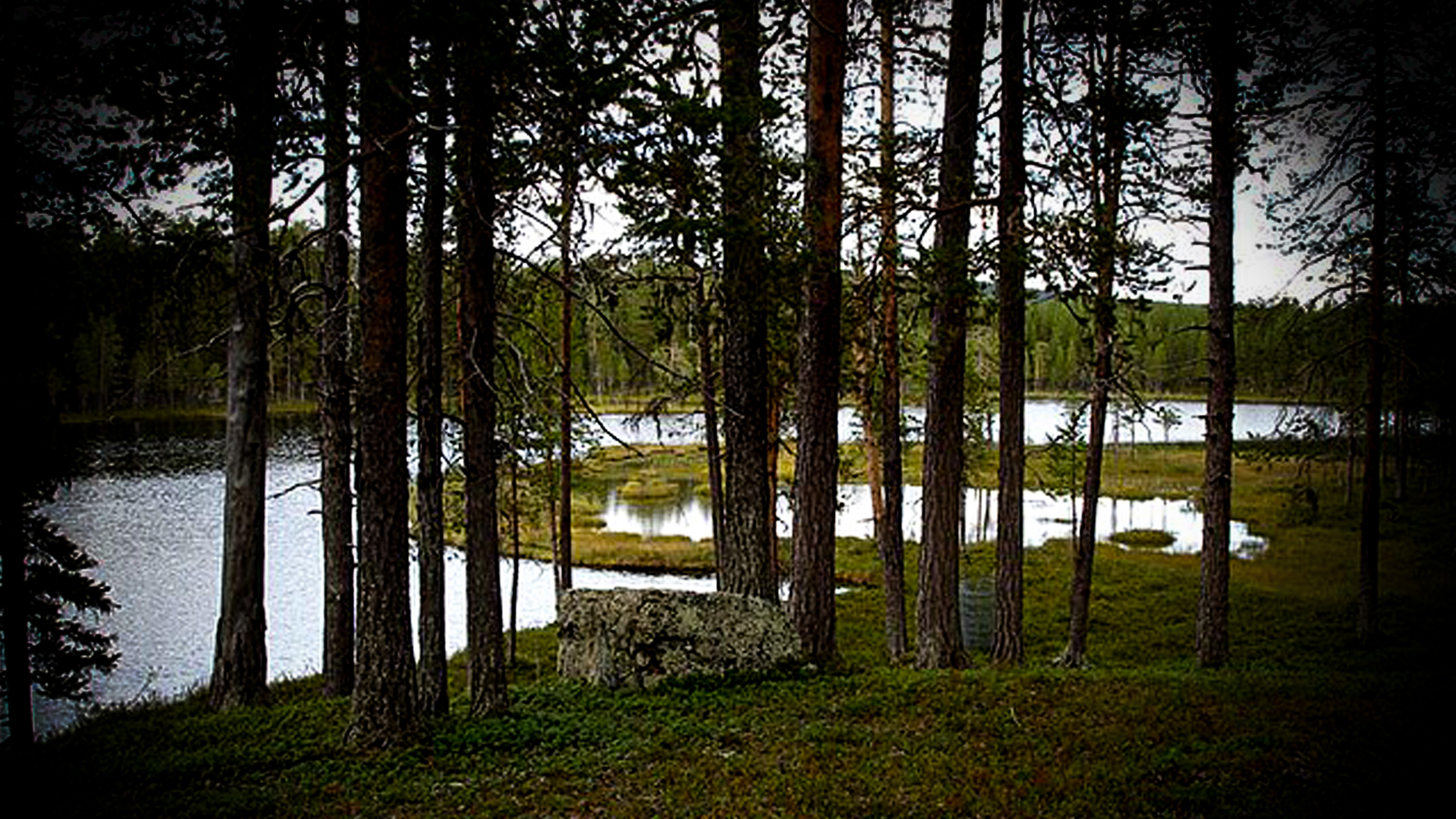 Faktum är att levnadsstandarden i glesbygden sjunker i relation till riket som helhet, skriver Mattias Johansson. 