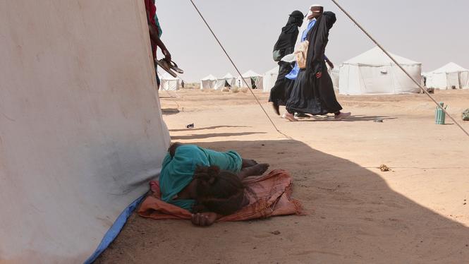 Människor som fördrivits från norra Darfurs huvudstad, el-Fasher och andra konfliktdrabbade områden bosätter sig i det nyupprättade El-Afadh-lägret i Al Dabbah, i Sudans norra delstat.