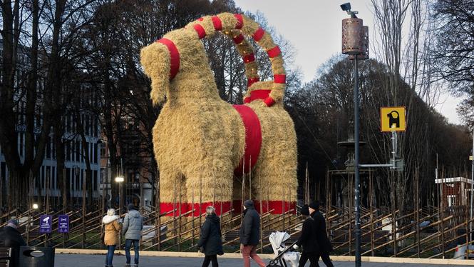 Årets julbock på plats i centrala Gävle inför söndagens invigning.