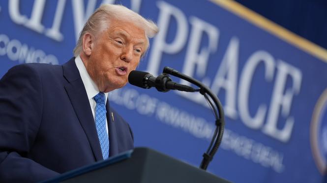 USA:s president Donald Trump i Washington DC i veckan.