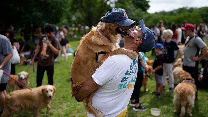 Golden retrievern Manola ger sin matte Maximiliano Rivero en blöt kyss i en park i stadsdelen Palermo i Buenos Aires.