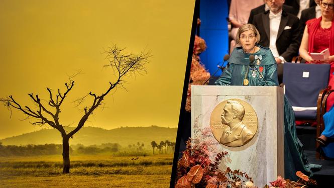 Kommer vi i framtiden att få se ett Nobelpris som prisar forskning om vår tids ödesfråga? Det hoppas tyska organisationen Ecosia på.