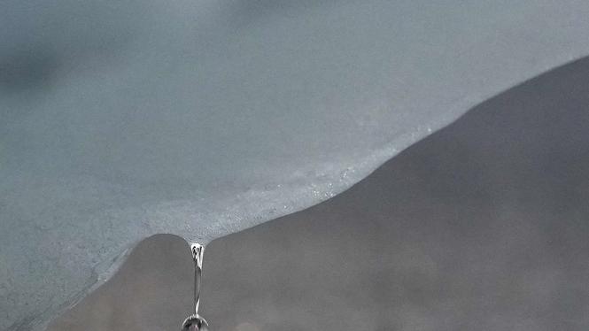 En droppe faller från ett isberg i Arktis. Arkivbild.