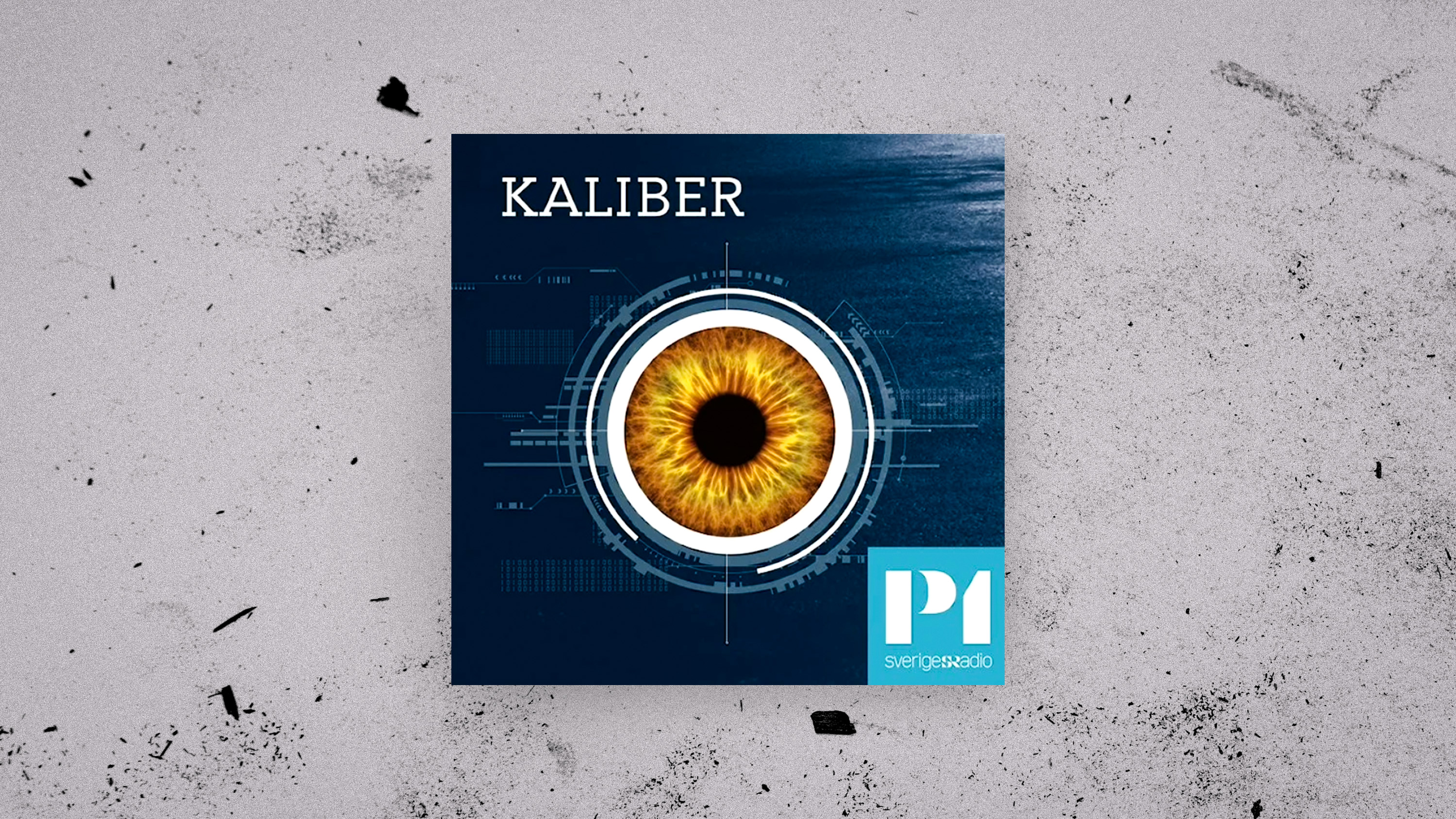 ”Det finns ingen poäng att diskutera den myten, eller att män får stora konsekvenser av att våldta en kvinna”, skriver Adine Samadi, ordförande Roks.