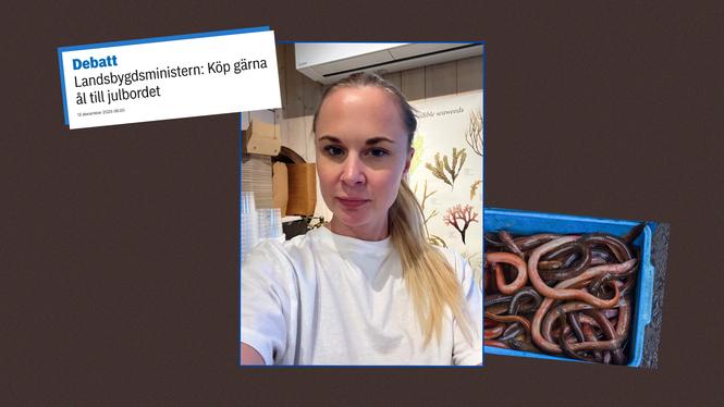 ”Att se sina barnbarn i ögonen och säga att man var med och utrotade ålen, det är det väl ingen som vill stå för”, säger Susanna Ivermo, som driver fiskbutiken Ljungskiles Havsdelikatesser.  