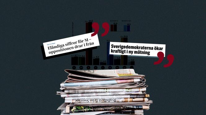 Helena Landstedt/TT, skärmdumpar (montage)