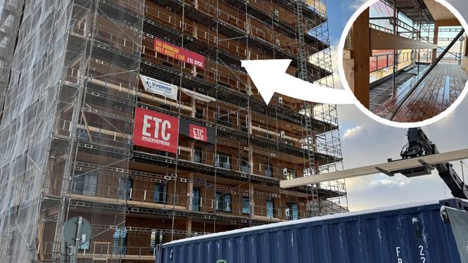 Solceller på balkongen betalar sig själva med råge över sin livscykel.