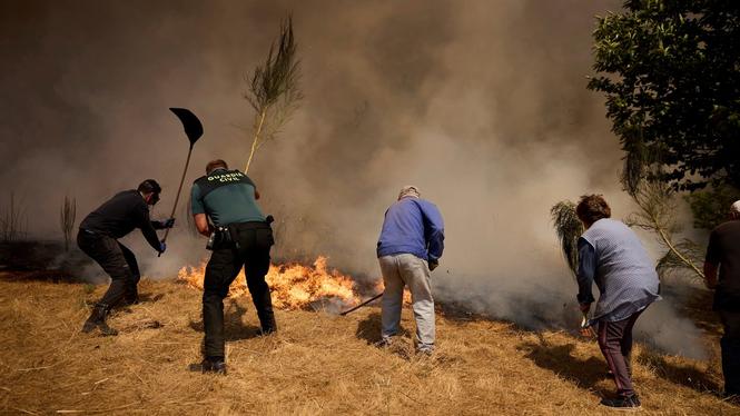  I augusti i år härjade omfattande bränder i bland annat nordvästra Spanien. Här nära byn Rebordondo.