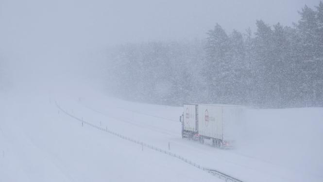 När stormen Anna drar in har flera vädervarningar utfärdats, bland annat en röd varning för snöfall och vind i delar av Gävleborgs län. Arkivbild.