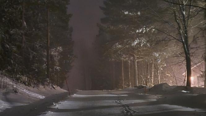 Natten mot fredagen var lugn i trafiken trots stora mängder snö runt om landet. Bild från Trönö, nordväst om Söderhamn i Hälsingland.